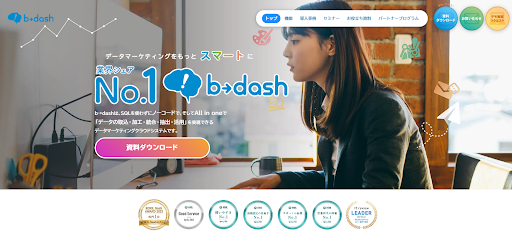 b→dash